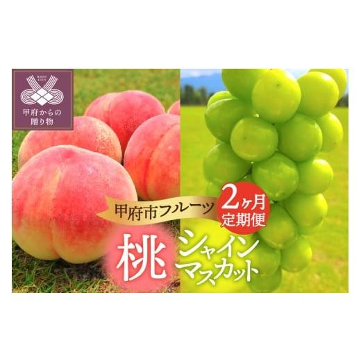 ふるさと納税 ぶどう マスカット 山梨県 甲府市 [2026年度配送分]甲府市フルーツ定期便(2回) 桃 約2kg(6〜8玉)・シャインマスカット 2〜3房(1.2kg以上…