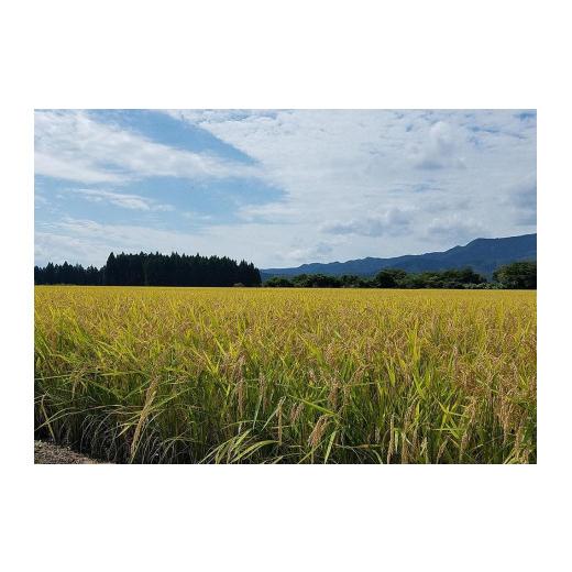 早い者勝ち訳あり！ ふるさと納税 秋田県 秋田市 【定期便】秋田市産ひとめぼれ3kg・仙北産あきたこまち2kgセット1年間（12か月） 【S2160937415】(76120円)