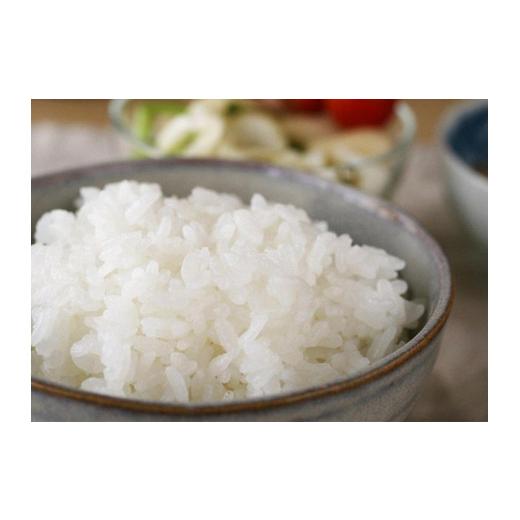 早い者勝ち訳あり！ ふるさと納税 秋田県 秋田市 【定期便】秋田市産ひとめぼれ3kg・仙北産あきたこまち2kgセット1年間（12か月） 【S2160937415】(76120円)