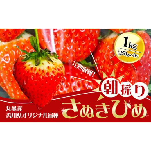 ふるさと納税 いちご 香川県 丸亀市 2026年1月中旬以降発送開始 いちご 先行予約 朝採り さぬきひめ 250g × 4パック 丸亀産 イチゴ 苺 いちご美味しい フル…