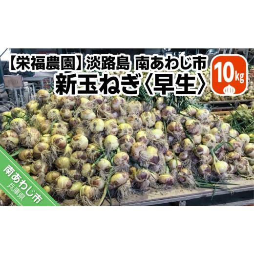ふるさと納税 野菜類 玉ねぎ 兵庫県 南あわじ市 新玉ねぎ 淡路島南あわじ市 10kg 早生  配送4月下旬〜5月下旬 新玉ねぎ 約10kgの画像