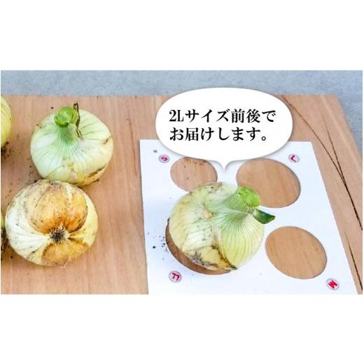ふるさと納税 野菜類 玉ねぎ 兵庫県 南あわじ市 新玉ねぎ 淡路島南あわじ市 10kg 早生  配送4月下旬〜5月下旬 新玉ねぎ 約10kgの画像