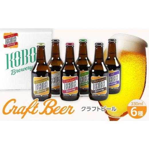 ふるさと納税 ビール 地ビール 富山県 富山市 クラフトビール 6種