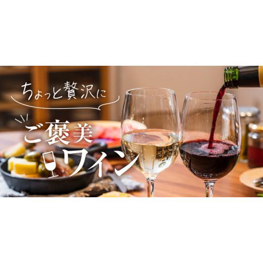 ふるさと納税 山梨県 甲州市 新田正明 厳選 日本ワインギフトセット（３万円相当コース）（NS）G-641