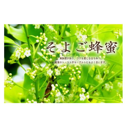 ふるさと納税 岐阜県 可児市 『岐阜の純粋はちみつ』百花蜜600gと園主が選ぶ単花蜜600g食べ比べセット 合計1.2kg 瓶詰｜furusatochoice｜06