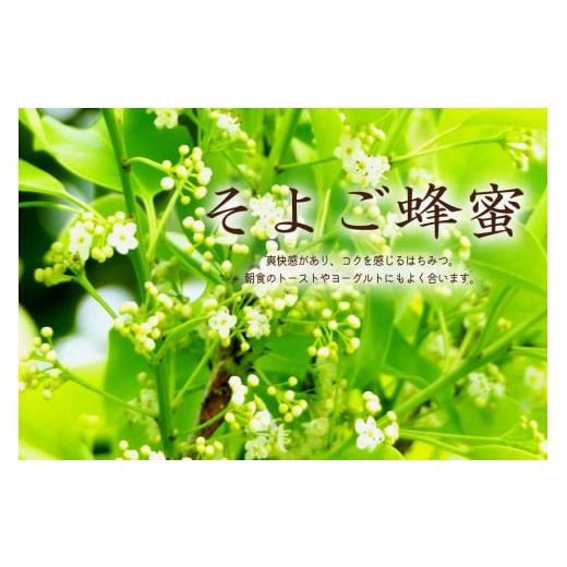 ふるさと納税 加工品等 はちみつ 岐阜県 可児市 Honey farm Mel『国産純粋はちみつ』百花蜜600gと園主が選ぶ単花蜜600g食べ比べセット 岐阜県 可児市 養蜂 ま…の画像