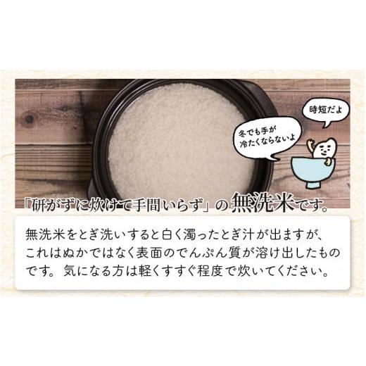 ふるさと納税 福井県 坂井市 定期便 ≪3ヶ月連続お届け≫ 福井産無洗米 いちほまれ こしひかり 華越前 各2kg × 3回 計18kg 【 無洗米 人気 品種 ブランド米 …｜furusatochoice｜07