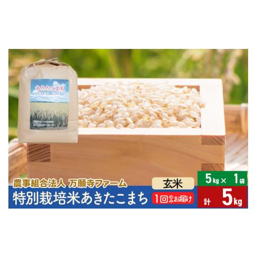 ふるさと納税 秋田県 美郷町 [玄米]令和5年産 特別栽培米あきたこまち 5kg(5kg×1袋)