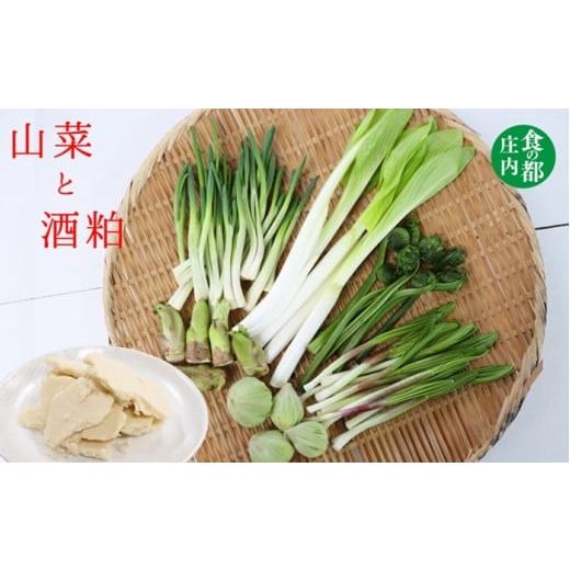 ふるさと納税 野菜類 山菜 山形県 三川町 食の都庄内 1月中旬〜4月下旬配送 山菜盛合せ&酒粕セット