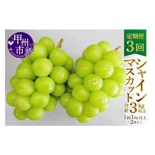 ふるさと納税 ぶどう マスカット 山梨県 甲州市  定期便 甲州市産厳選旬のシャインマスカット1kg以上2房×3回 2026年発送 （MG）D33-101 シャインマスカット …の画像