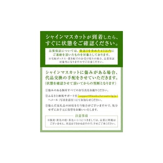 ふるさと納税 ぶどう マスカット 山梨県 甲州市  定期便 甲州市産厳選旬のシャインマスカット1kg以上2房×3回 2026年発送 （MG）D33-101 シャインマスカット …の画像