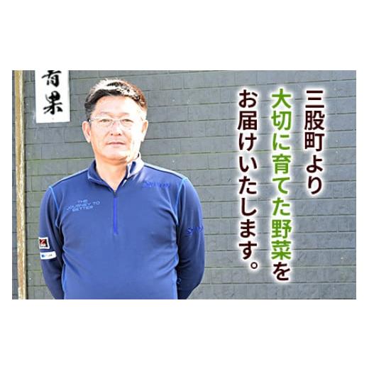 ふるさと納税 宮崎県 三股町 ＜宝石らっきょう 4種のアソートパック1袋200g入り＞【MI211-hd】【原田青果】｜furusatochoice｜09