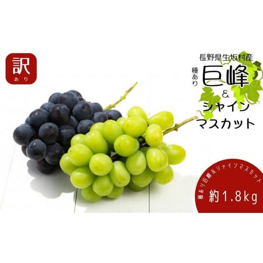 ふるさと納税 ぶどう 長野県 生坂村 2026年発送 先行予約 訳あり 種あり巨峰&シャインマスカット約1.8kg 4~6房 果物 ぶどう フルーツ デザート おやつ 長野…
