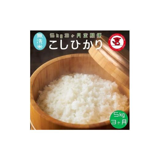 ふるさと納税 無洗米 千葉県 銚子市 3ヶ月定期便 新米 令和7年産 無洗米コシヒカリ 5kg 3ヶ月 千葉県産 お米マイスター厳選