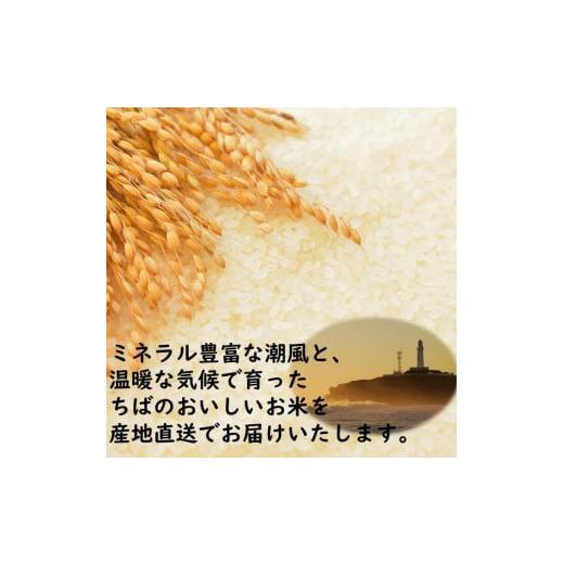 ふるさと納税 千葉県 銚子市 【6ヶ月定期便】 無洗米コシヒカリ 5kg 6ヶ月【千葉県産】【お米マイスター厳選】｜furusatochoice｜04