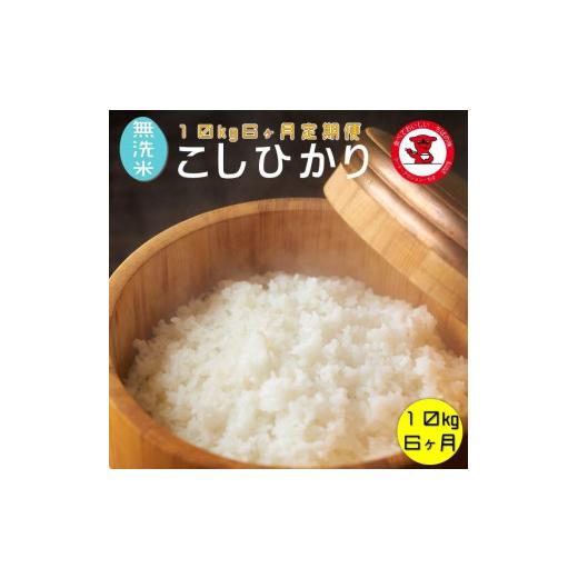 ふるさと納税 無洗米 千葉県 銚子市 6ヶ月定期便 無洗米コシヒカリ 10kg 6ヶ月 千葉県産 お米マイスター厳選 根本商店