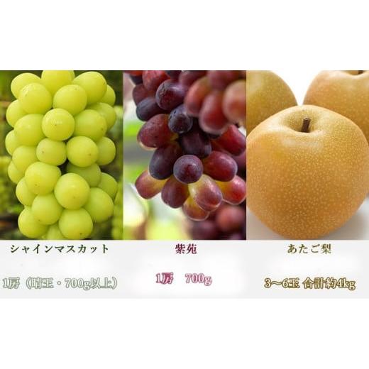 ふるさと納税 もも 岡山県 里庄町 桃 ぶどう 梨 定期便 2026年 先行予約 晴れの国 岡山 の フルーツ 定期便 6回コース もも 葡萄 なし 岡山県産 国産 セット …_3