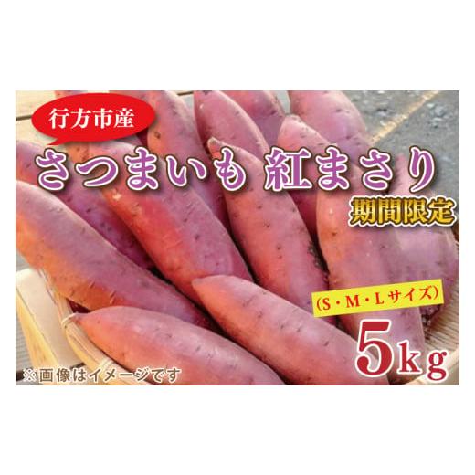 ふるさと納税 野菜類 サツマイモ 茨城県 行方市 2026年2月中旬より順次発送 野原さんちのさつまいも 紅まさり 約5kg|芋 さつまいも サツマイモ お芋 いも 紅…