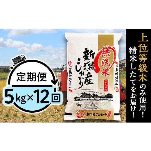 ふるさと納税 無洗米 新潟県 胎内市 31-M5Z 新潟県産コシヒカリ5kg 12