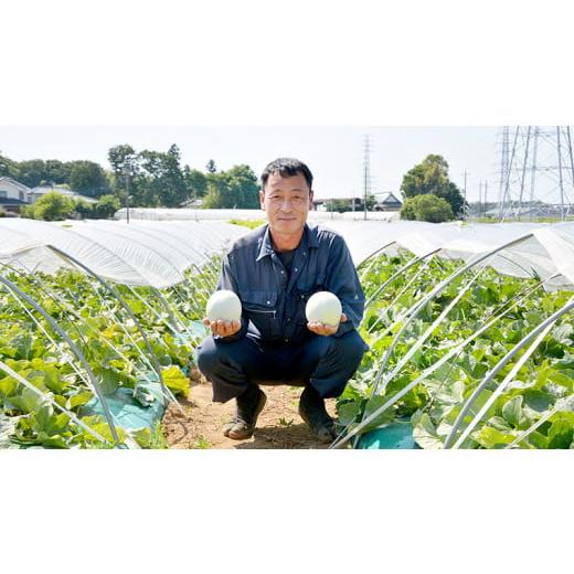 ふるさと納税 メロン メロン青肉 茨城県 八千代町 農家直送 プリンスメロン 1箱 約5kg ( 7〜8玉入り ) 2025年5月下旬以降発送 先行予約 期間限定 産地直送 果&hellip;