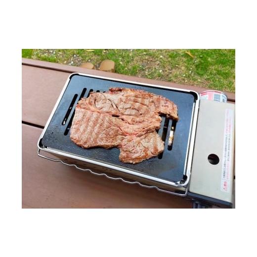 ふるさと納税 静岡県 焼津市 a14-035 アウトドア BBQ イワタニ 炉ばた焼き器用 鉄板