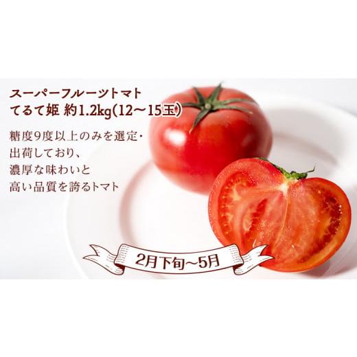 ふるさと納税 茨城県 桜川市 【 定期便 】【 2024年9月から発送開始 全4回 】 数量限定 フルーツ定期便 贅沢 フルーツ 満喫コース 旬 旬の果実 旬のフルーツ …｜furusatochoice｜06