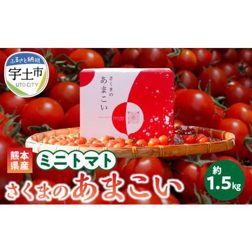 ふるさと納税 熊本県 宇土市 137-1 熊本県産 ミニトマト 約1.5kg 「さくまのあまこい」