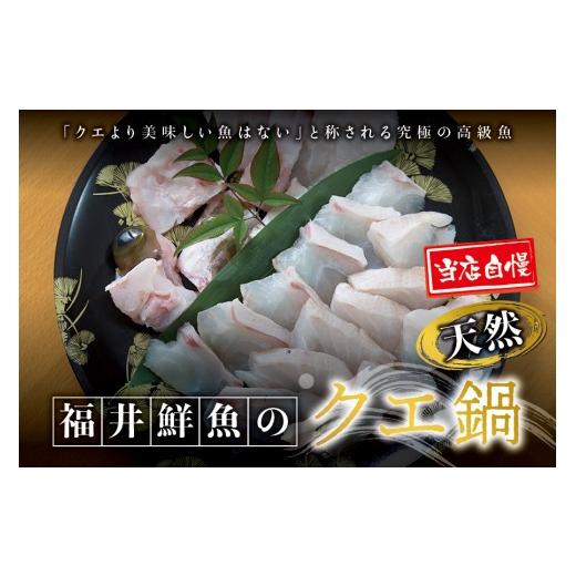 ふるさと納税 海鮮鍋 和歌山県 北山村 先行予約 幻のクエ 国産 天然クエ鍋 500g くえ 鍋 セット fki104 通常発送(10月上旬〜3月下旬発送) 年内発送12月26日…