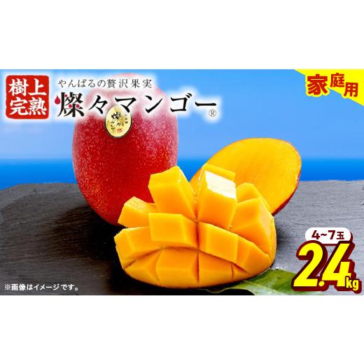 ふるさと納税 マンゴー 沖縄県 国頭村 2027年7月から順次発送・家庭用