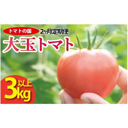 ふるさと納税 野菜類 トマト 徳島県 阿波市 先行予約 トマト 大玉 3kg 定期便 2回 大玉トマト サラダ トマトの国 野菜 やさい トマト 薄皮 完熟 高糖度 果物 …