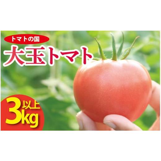 ふるさと納税 野菜類 トマト 徳島県 阿波市 先行予約 トマト 大玉 3kg 以上 トマトの国 サラダ 野菜 やさい トマト 薄皮 完熟 高糖度 果物 スイーツ ジュース…