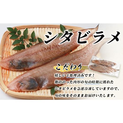 ふるさと納税 佐賀県 鹿島市 冷凍芝エビ（真エビ）1kg（500g×2パック）＆有明海産 シタビラメ約150g×2尾【有明海の恵】簡単調理 セット B-569｜furusatochoice｜03