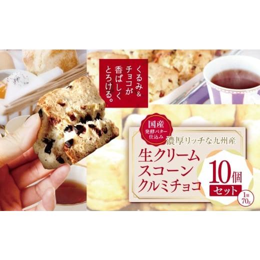 ふるさと納税 焼菓子・チョコレート 大分県 中津市 国産発酵バター仕込み濃厚リッチな九州産生クリームスコーン クルミチョコ10個セット | お菓子 菓子 おかし…