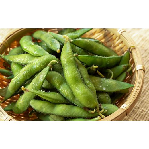 ふるさと納税 豆類 枝豆 新潟県 三条市  枝豆 定期便 3kg×3回 新潟県産 枝豆（陽恵） 2026年送りとどける分 令和8年産 朝採り枝豆3kgを3回お届け 掘り割り栽培所 090S002