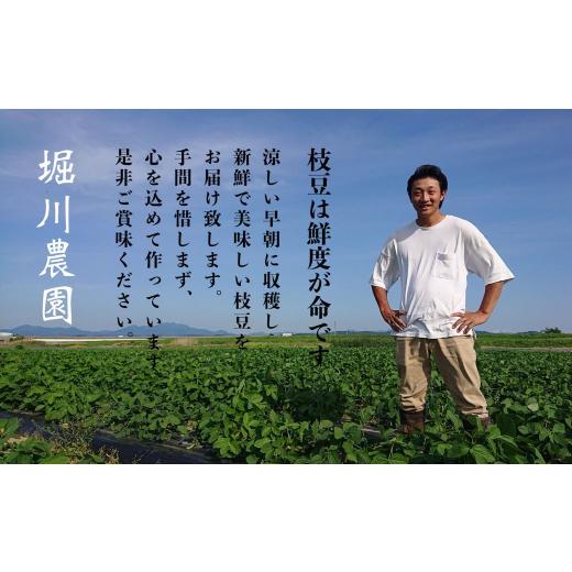 ふるさと納税 豆類 枝豆 新潟県 三条市  枝豆 定期便 3kg×3回 新潟県産 枝豆（陽恵） 2026年送りとどける分 令和8年産 朝採り枝豆3kgを3回お届け 掘り割り栽培所 090S002