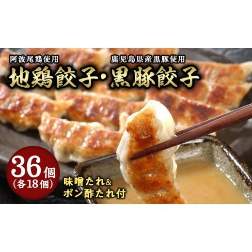 ふるさと納税 惣菜・レトルト 冷凍 兵庫県 芦屋市 芦屋 伊東屋謹製「黒豚餃子・地鶏餃子」各1折セット (たれ付) ぎょうざ ギョーザ 中華 点心 惣菜 簡単 おう…