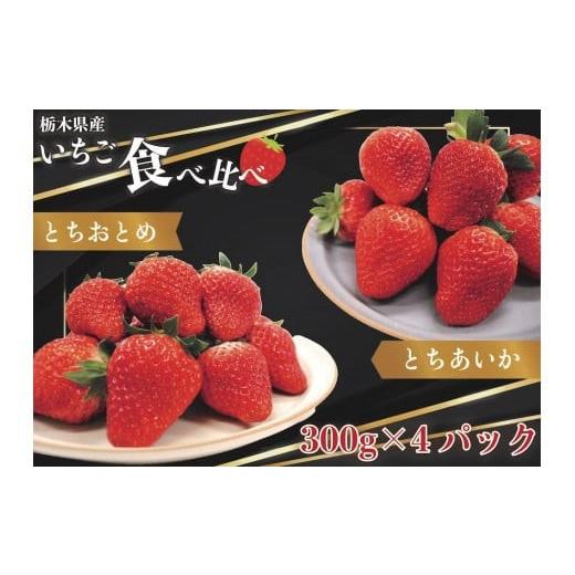 ふるさと納税 いちご 栃木県 矢板市 先行予約 2026年12月中旬より順次発送予定・歴代王者と期待の新人 とちおとめ×とちあいか食べ比べセット1200g|いちご …
