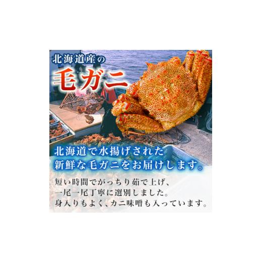 ふるさと納税 北海道 稚内市 ＜2024製造＞ボイル毛ガニ1尾450g〜550g【1381380】｜furusatochoice｜03