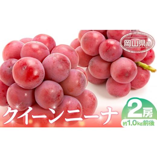 ふるさと納税 ぶどう 岡山県 岡山市 ぶどう 2026年 クイーンニーナ 2房 約1.0kg前後 ブドウ 葡萄 岡山県産 国産 フルーツ 果物 ギフトの画像