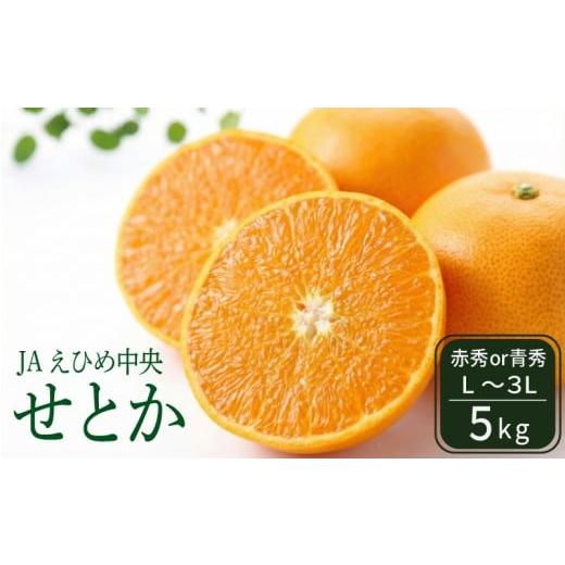 ふるさと納税 果物類 みかん 愛媛県 松山市 入荷次第順次発送 JAえひめ中央 せとか5kg 赤秀・青秀 いずれかL〜3L 露地せとか セトカ 瀬戸香 みかん ミカン 蜜…