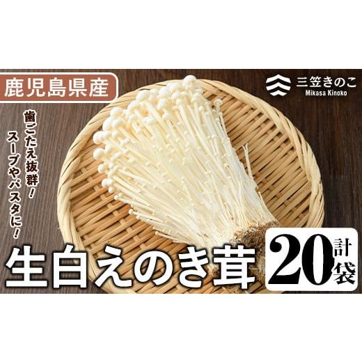 ふるさと納税 野菜類 きのこ 鹿児島県 阿久根市 生白えのき茸(20袋・計5kg)国産 エノキ きのこ キノコ 個包装 三笠えのき茸生産組合 akn010-10 1回