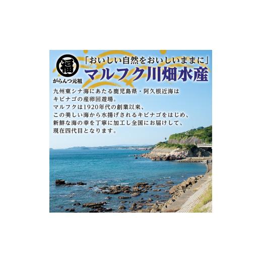 ふるさと納税 干物 アジ 鹿児島県 阿久根市  定期便・全2回(隔月) 阿久根市産 干物(8種)国産 鹿児島県産 ひもの 開き 一夜干し がらんつ 乾物 魚 キビナゴ あ…_2