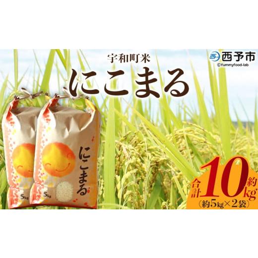 ふるさと納税 米 にこまる 愛媛県 西予市 令和7年産 西予市宇和町産 にこまる 約10kg お米 コメ 白米 精米 単一原料米 ご飯 晩稲 大粒 精米 ご飯 ライス 穀物…