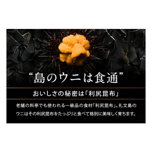 ふるさと納税 北海道 礼文町 北海道 礼文島産 塩水 プレミアム生キタムラサキウニ 90g｜furusatochoice｜07