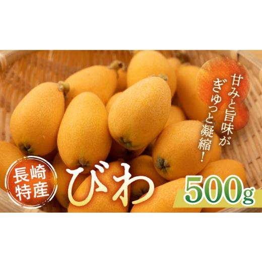 ふるさと納税 果物類 びわ 長崎県 長与町 5〜6月発送 長崎 びわ 12個入り(500g) 長与町/長崎西彼農業協同組合じげもん長与直売所 EAF004 びわ 先行予約