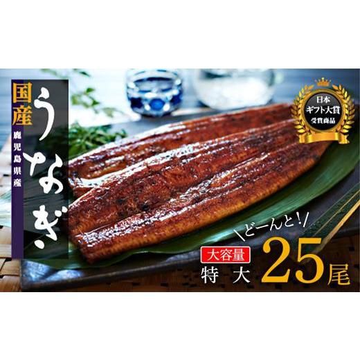 ふるさと納税 ウナギ 鹿児島県 大崎町 どーんとお届け 特大25尾 鹿児島県産長蒲焼