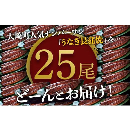 ふるさと納税 ウナギ 鹿児島県 大崎町 どーんとお届け 特大25尾 鹿児島県産長蒲焼