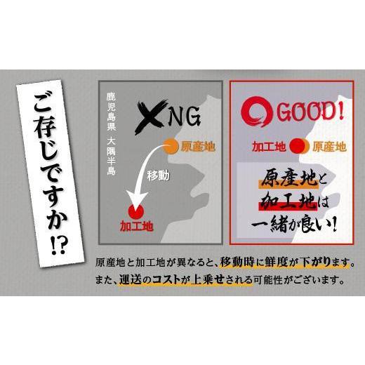 ふるさと納税 ウナギ 鹿児島県 大崎町 どーんとお届け 特大25尾 鹿児島県産長蒲焼