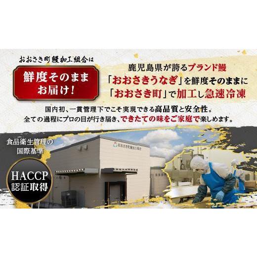 ふるさと納税 ウナギ 鹿児島県 大崎町 どーんとお届け 特大25尾 鹿児島県産長蒲焼