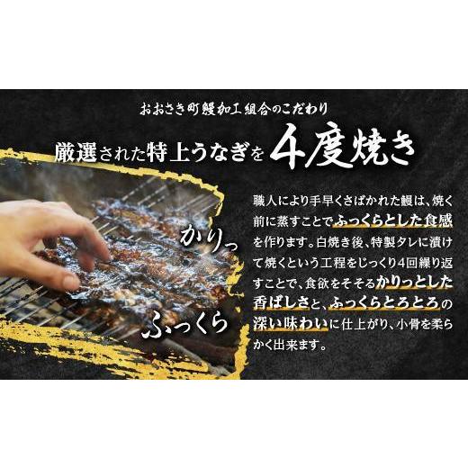 ふるさと納税 ウナギ 鹿児島県 大崎町 どーんとお届け 特大25尾 鹿児島県産長蒲焼